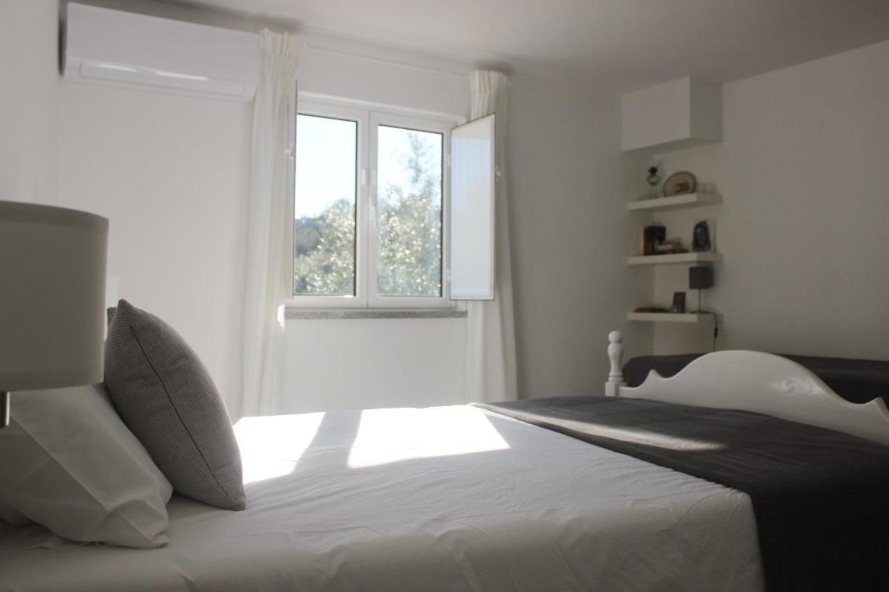 Casas D'Almofala Vila de Rei Dış mekan fotoğraf