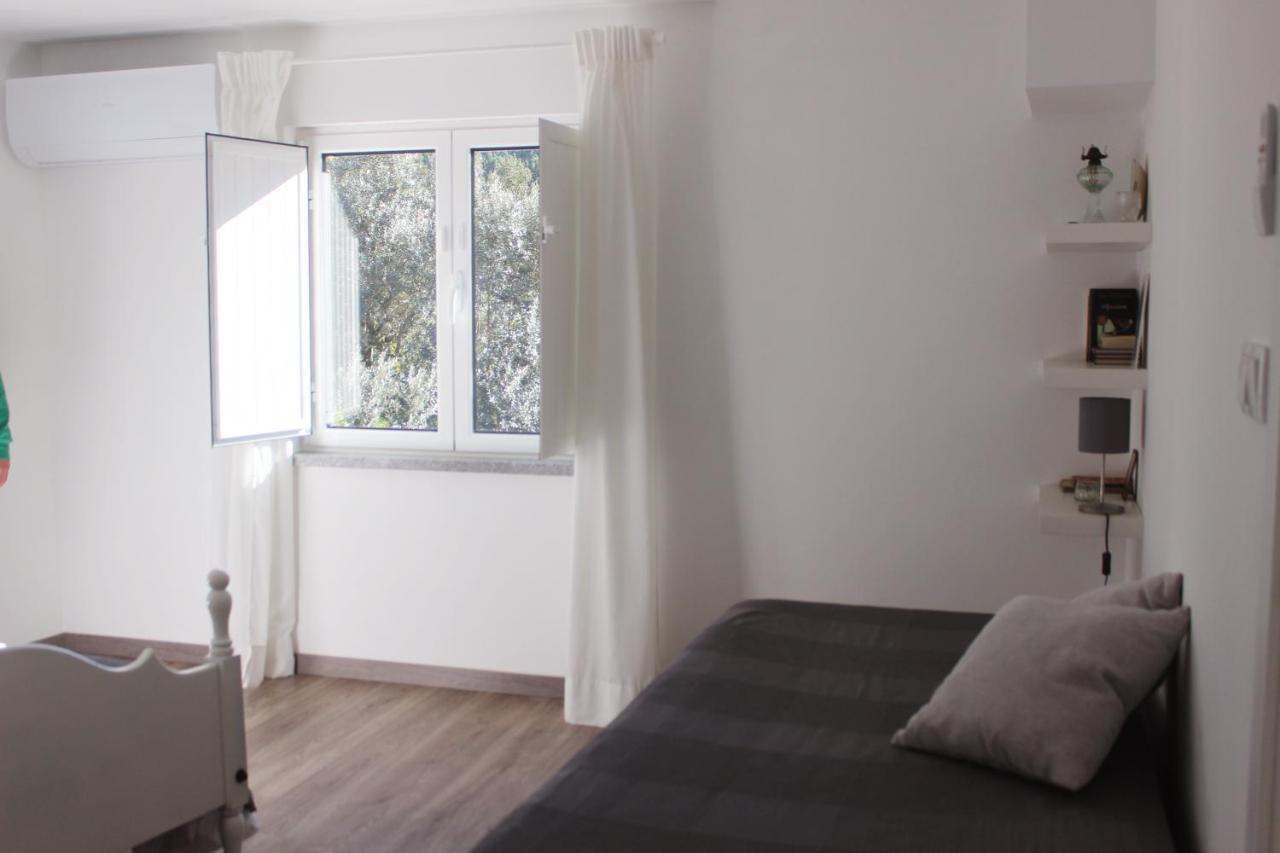Casas D'Almofala Vila de Rei Dış mekan fotoğraf